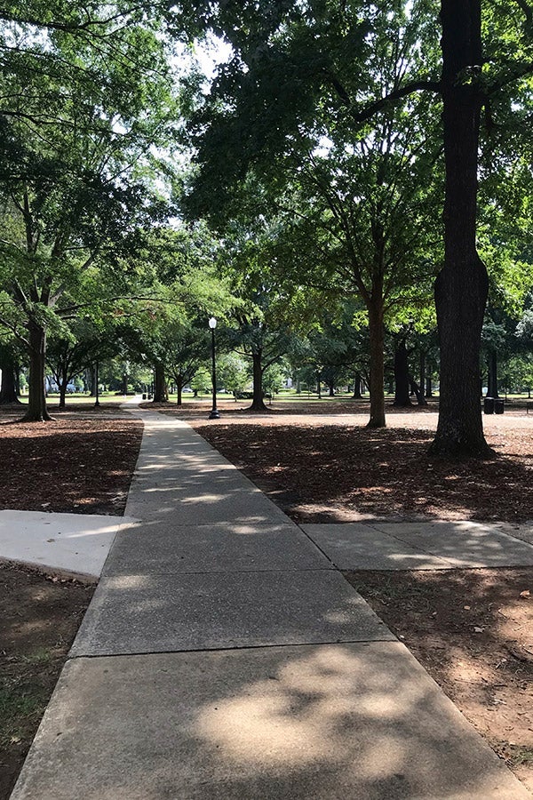 A quiet path on the University of Alabama campus.