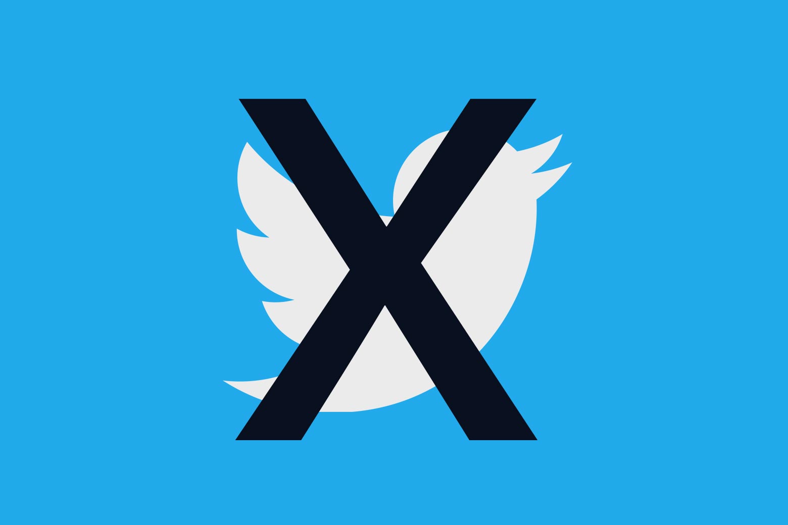 The Twitter bird is obscured by a giant black X.