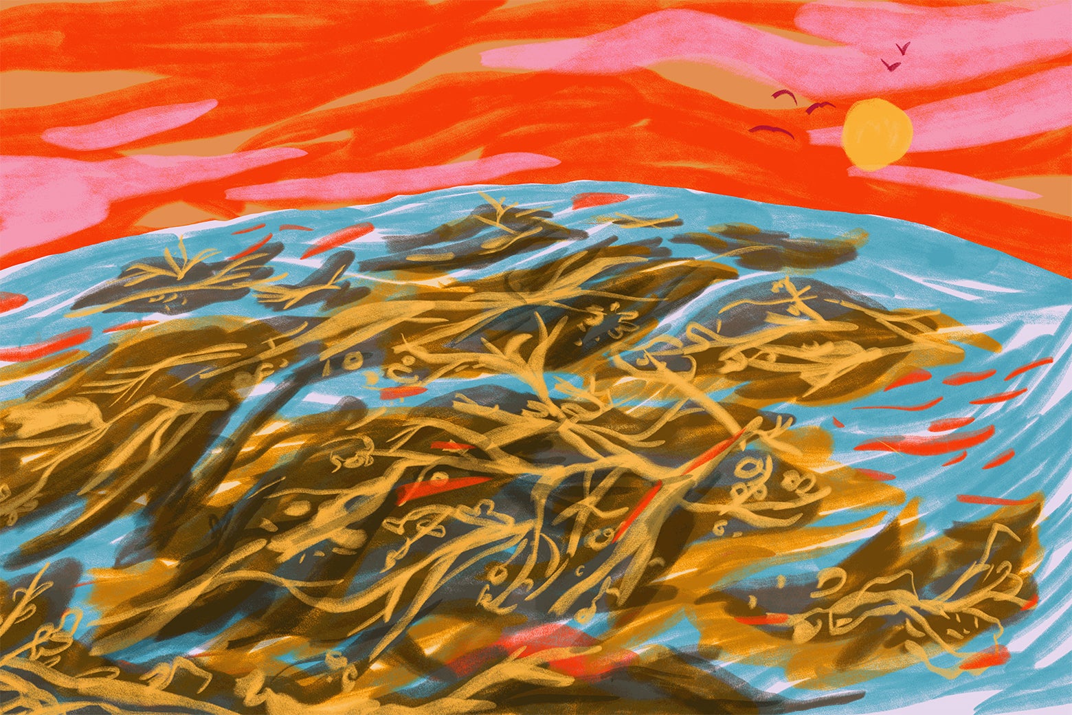 Beach seaweed: Sargassum is the new mess of algae taking over shorelines and ruining vacations. - Vimarsana News