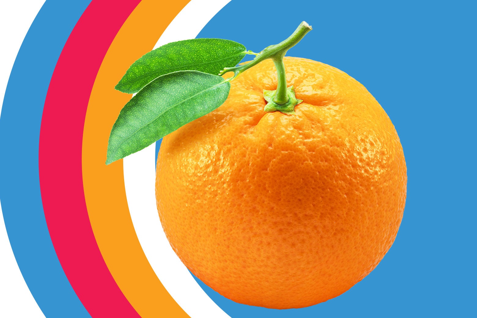 The Once Mighty Florida Orange Is Just About Dead. Whodunit?