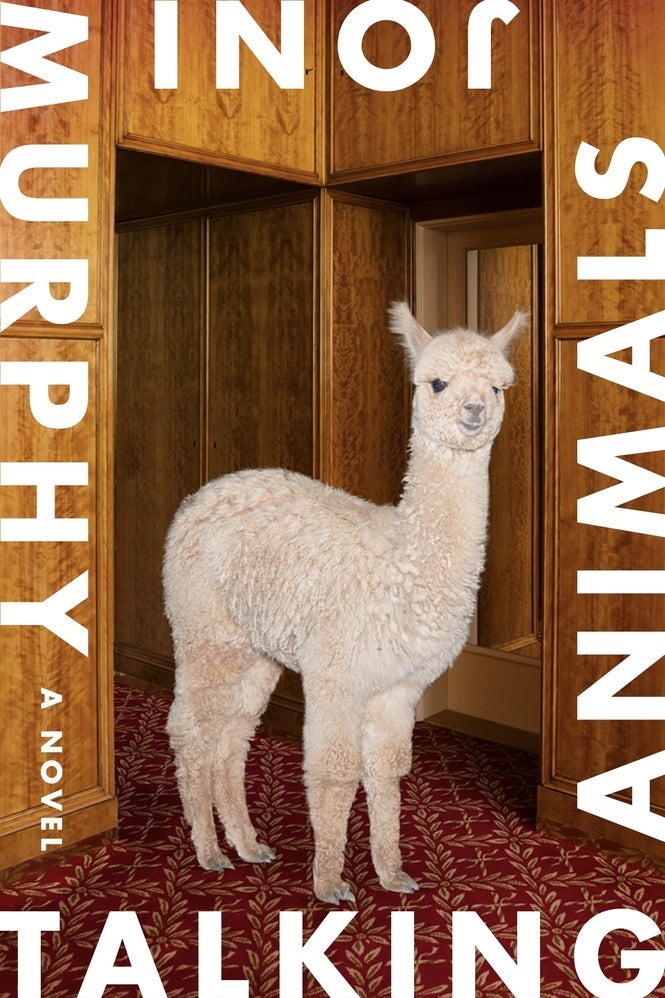 A book cover depicts a fluffy white alpaca. Words surround the border: Talking Animals: A Novel. Joni Murphy.