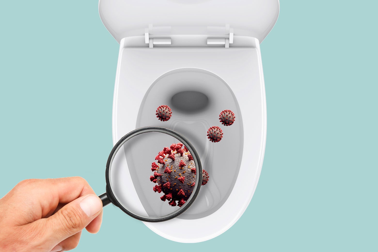 A hand holds a magnifying glass over a toilet bowl containing coronaviruses. 