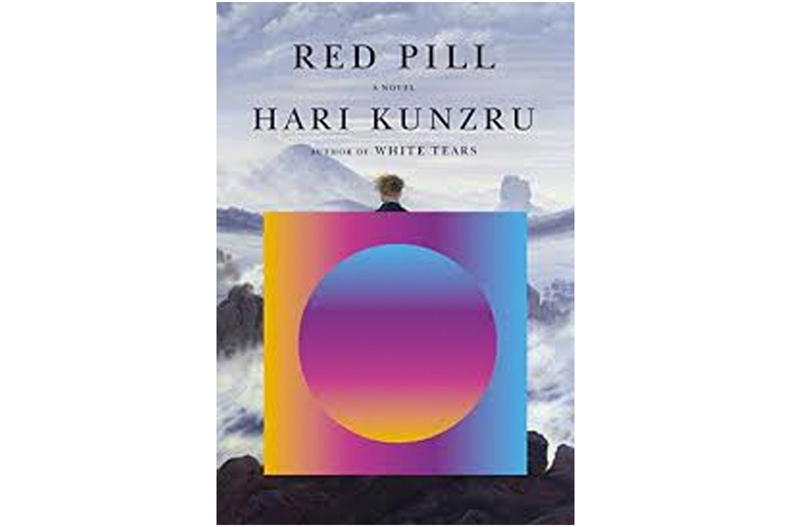 Red Pill review Hari Kunzru’s new novel goes down the altright rabbit