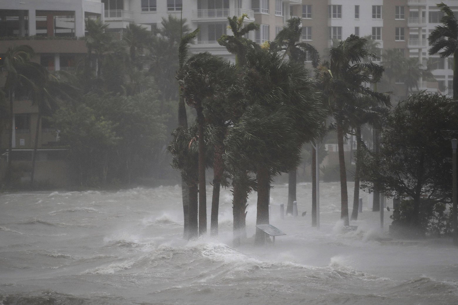 How Miami can survive climate change.