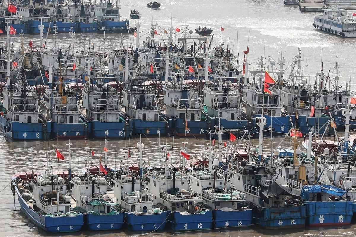 China's Fishing Fleet, the World's Largest, Drives Beijing's Global  Ambitions - WSJ