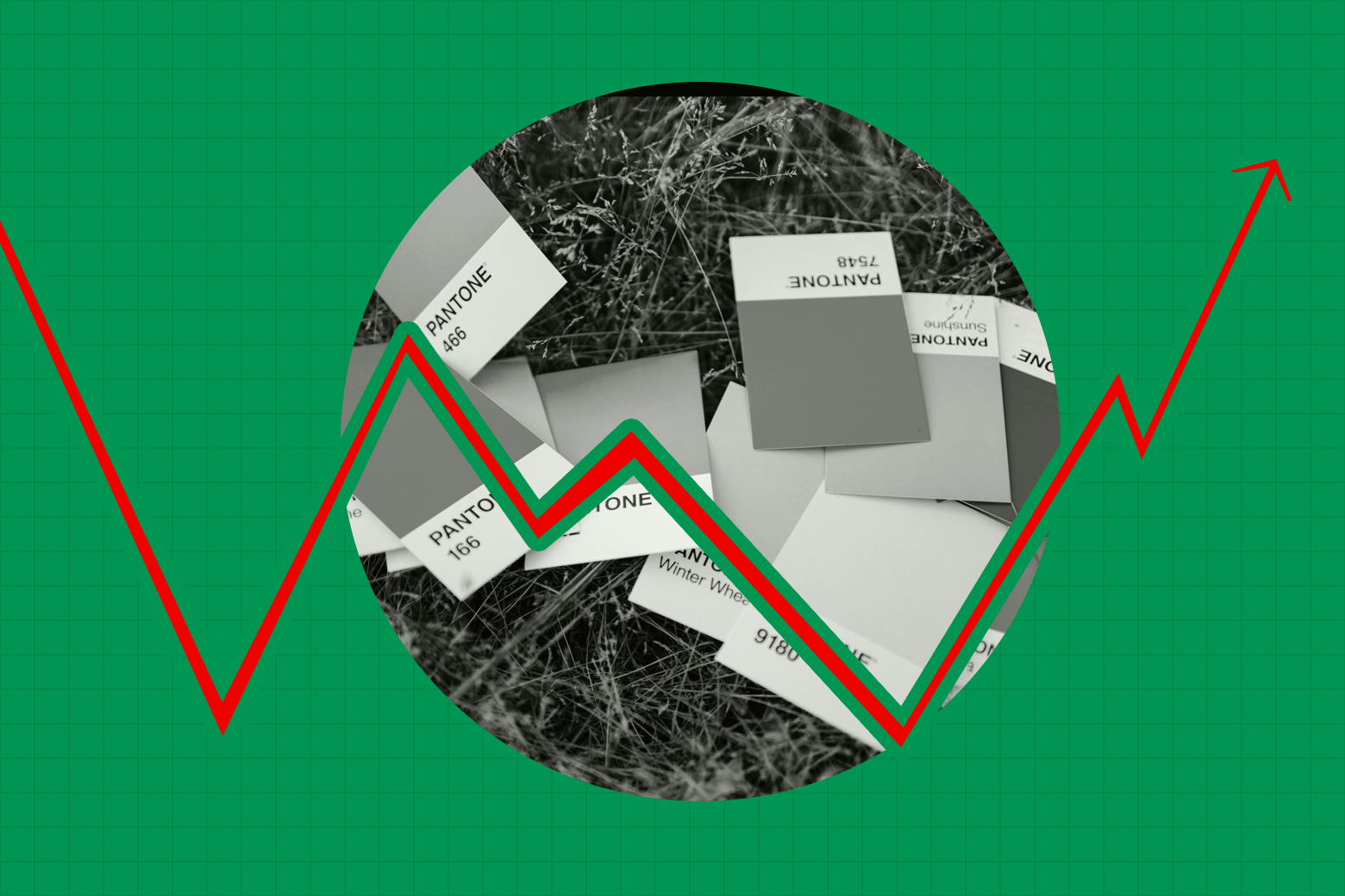 Who Put Pantone in Charge of Color?