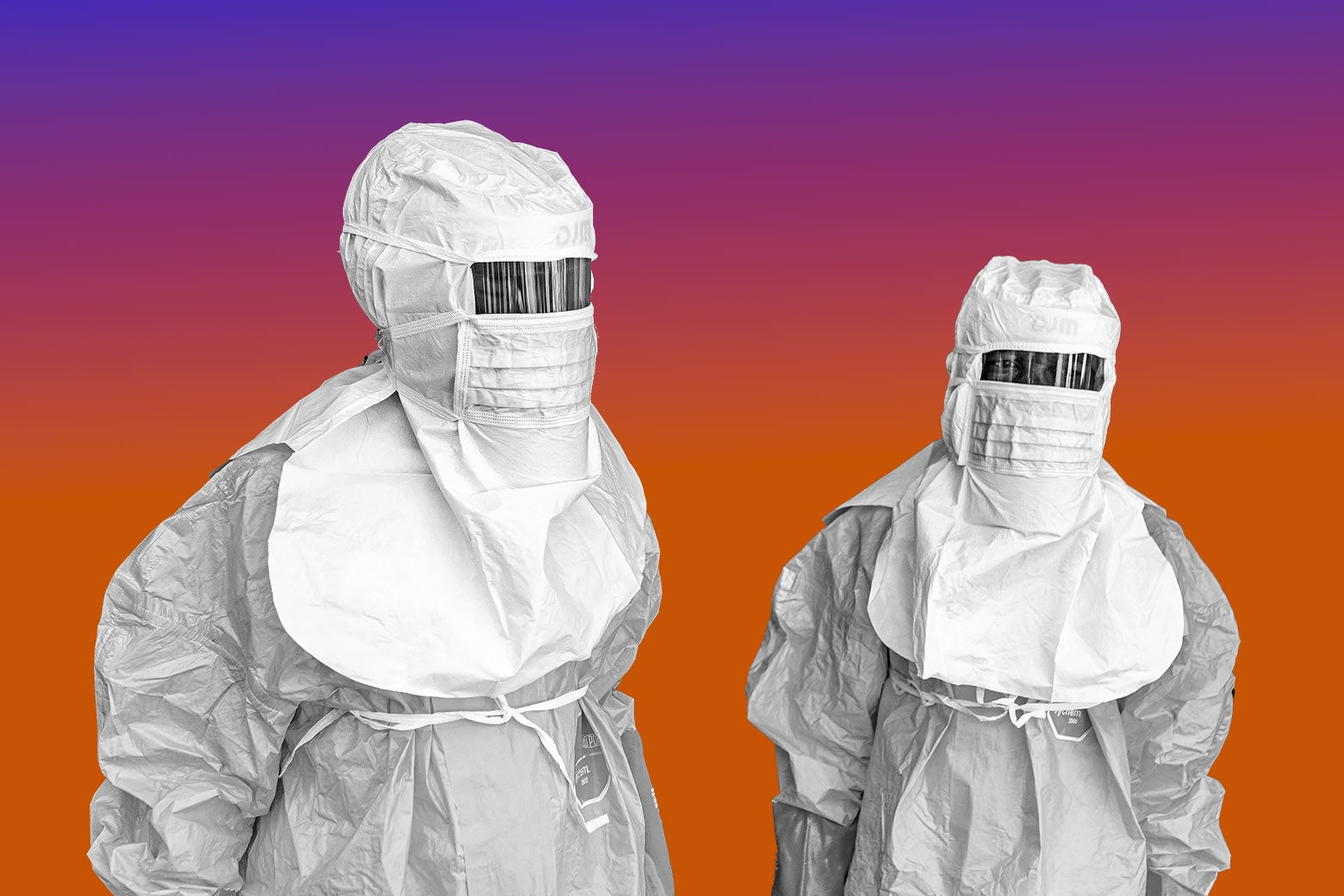 Did DOGE Cause the Ebola Outbreak? Did DOGE Cause the Ebola Outbreak?