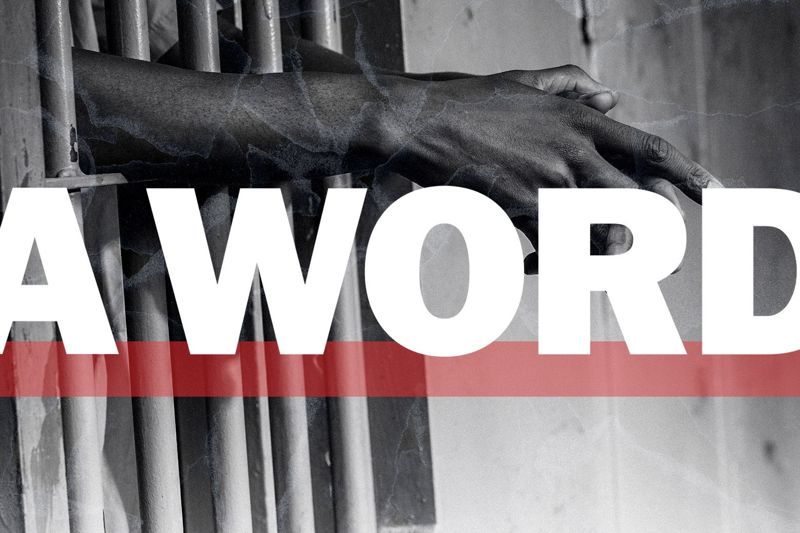 Turning a Wrongful Conviction Into a Crusade for Justice