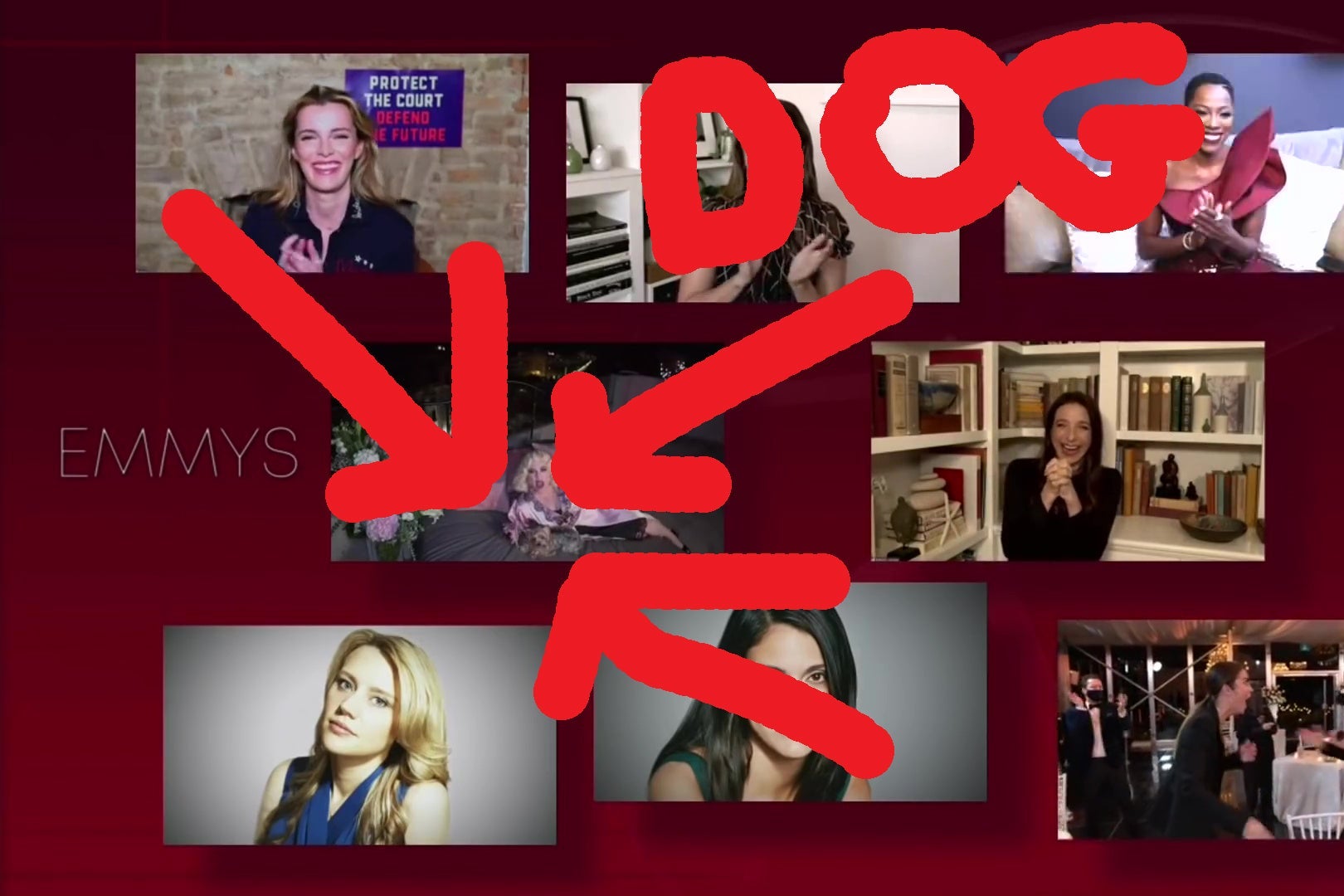 The same still as before, except now the dog on Alex Bornstein's bed has been highlighted with bright red arrows.