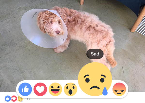 Facebook Reactions are not wow.