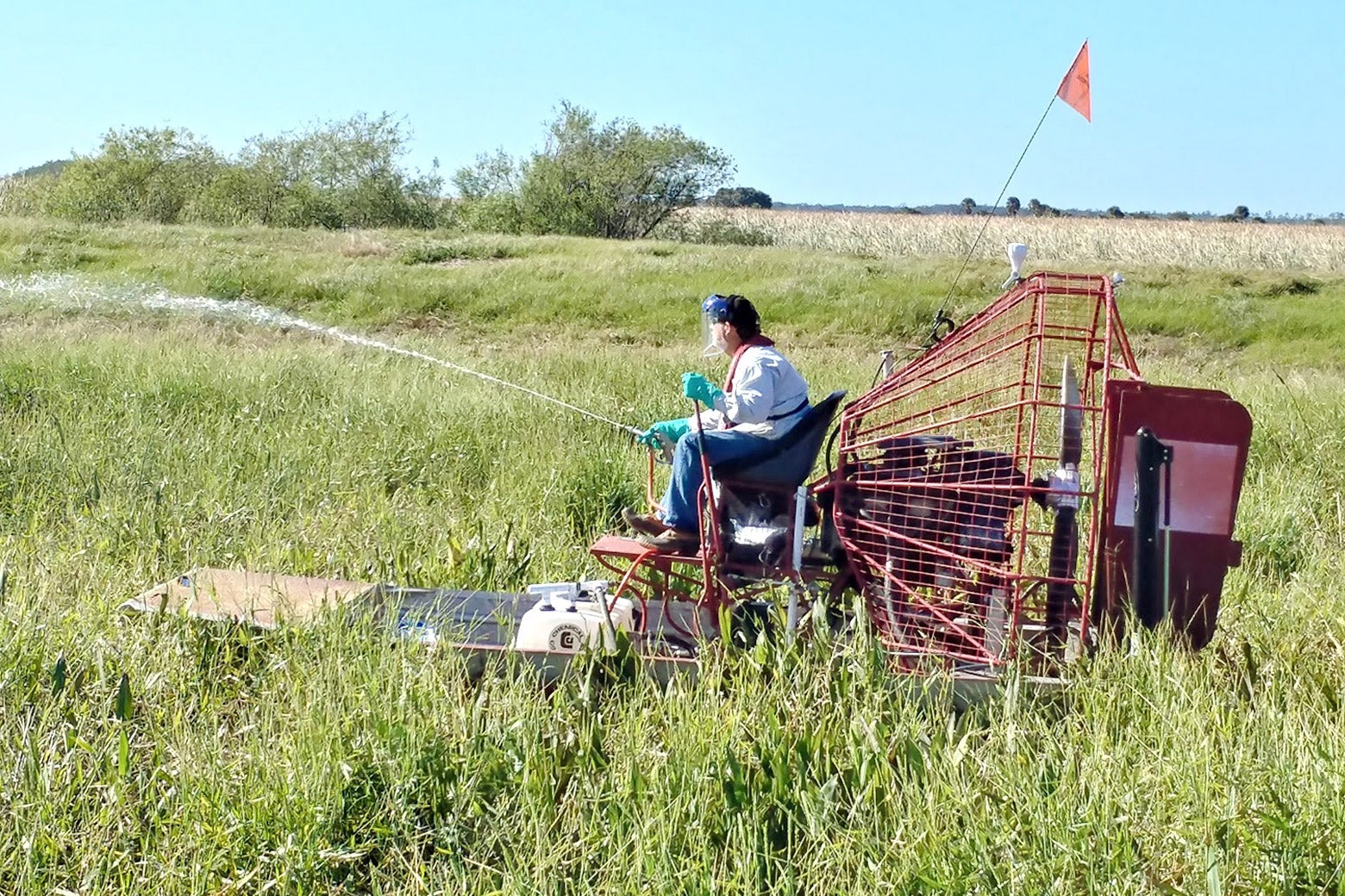 An airboat applicator treating invasive West Indian marsh grass on a Florida lake. The most effective herbicides for this invasive plant are glyphosate and imazapyr.