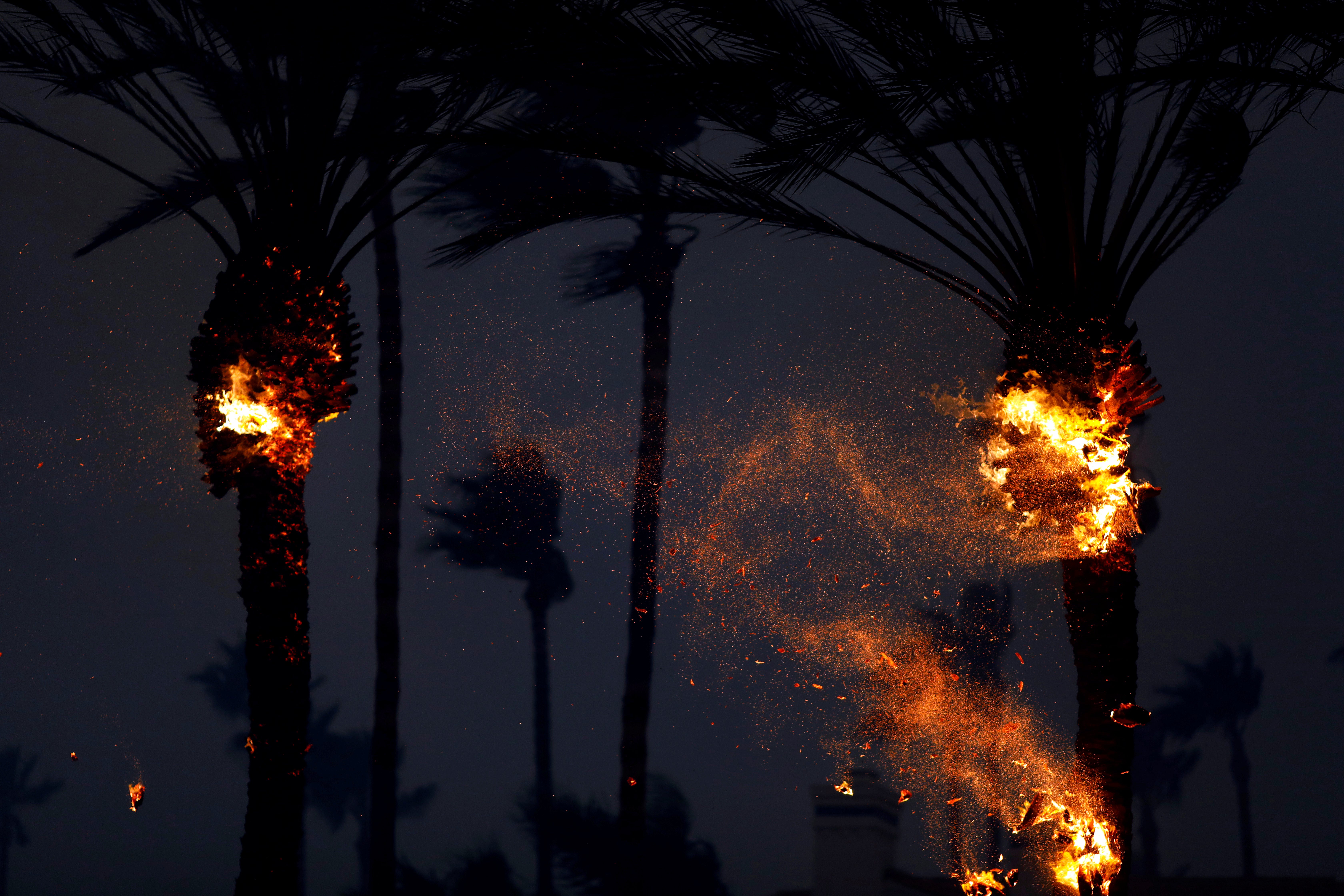 Palm trees on fire.