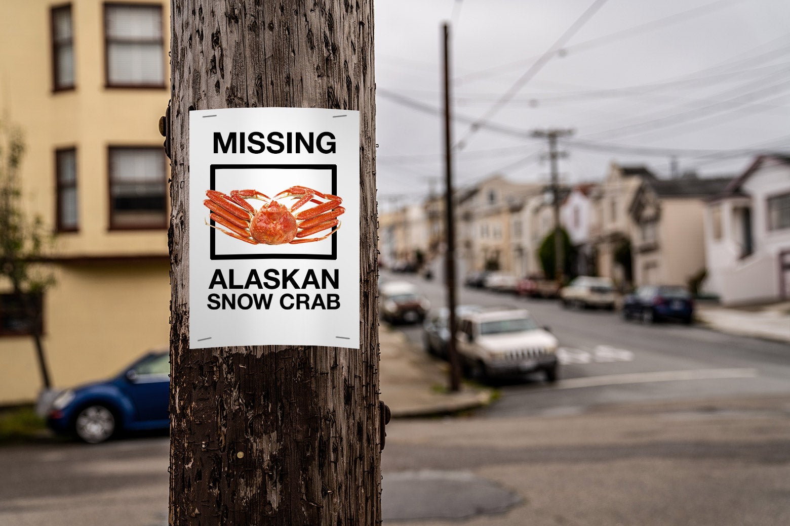 Photo illustration of a "missing" sign with an Alaskan snow crab