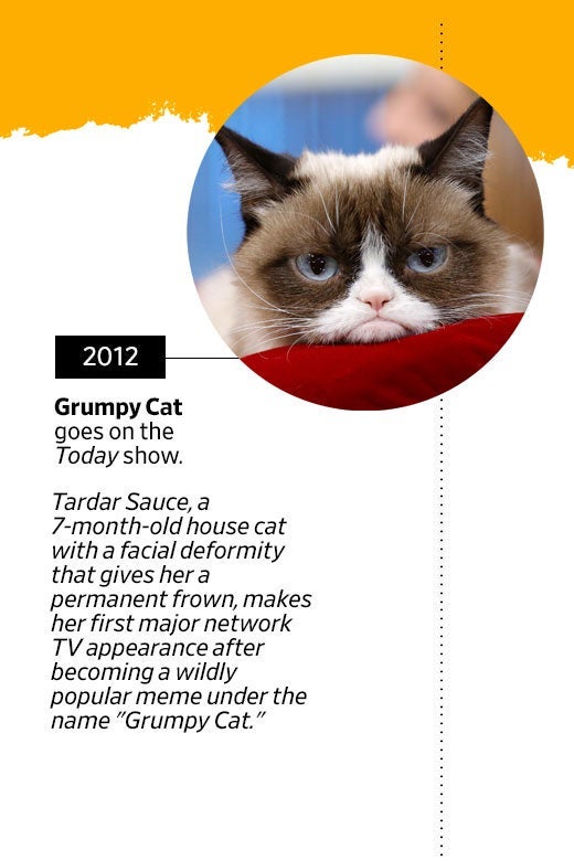 Photo of Grumpy Cat's face. In 2012, Grumpy Cat goes on the Today show. Tardar Sauce, a 7-month-old house cat with a facial deformity that gives her a permanent frown, makes her first major network TV appearance after becoming a wildly popular meme under the name "Grumpy Cat."