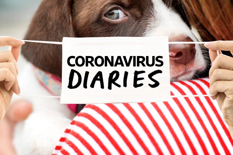 Coronavirus dog adoption: Why now really is the perfect time to get a pet.