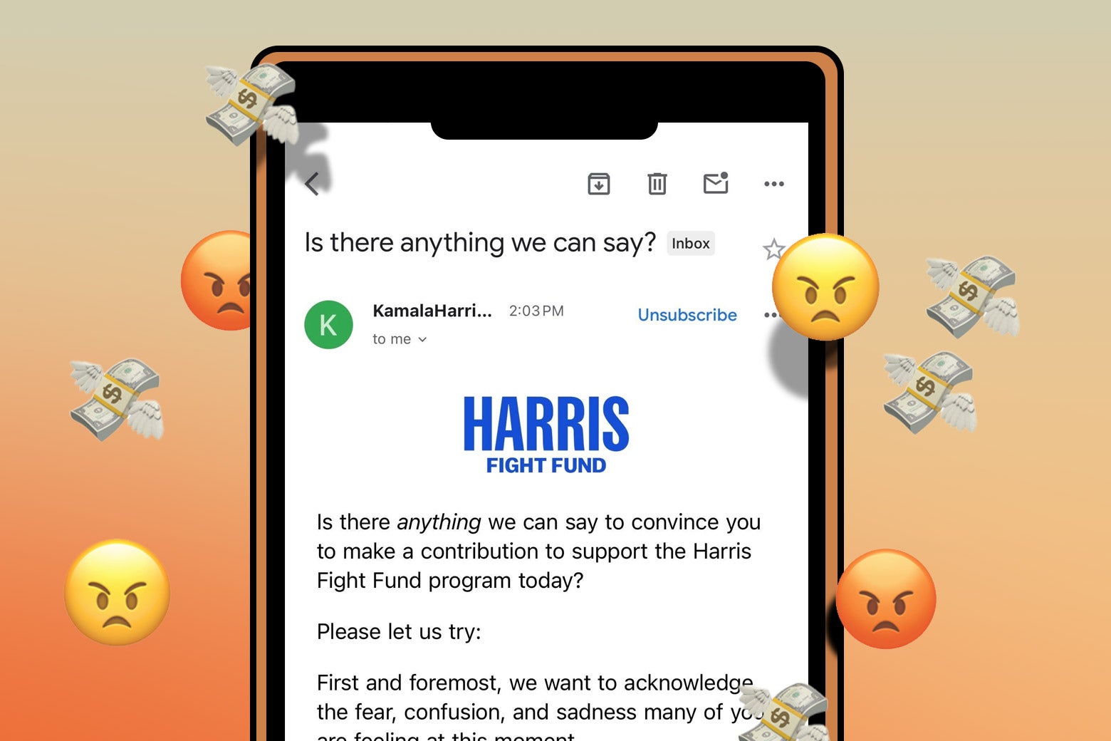 Trump election win: The Harris campaign’s most absurd response to complete failure.
