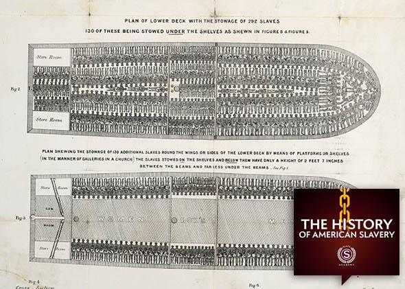 Stowage of the British slave ship "Brookes" under the regulated 