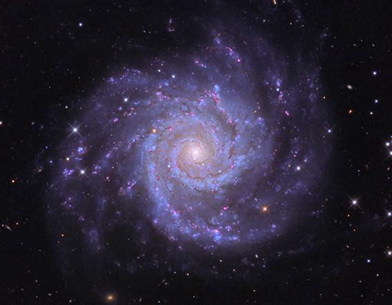 Spiral Galaxy M74 The Perfection Of A Nearby Galaxy