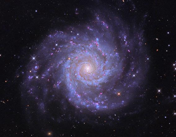 The nearby spiral galaxy M74