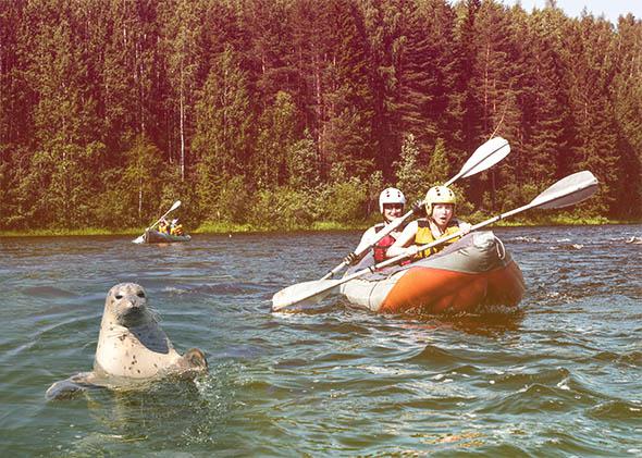 “DOGTOWN: At 1:59 p.m. someone said two kayakers were harassing seals in the lagoon. Deputies found them acting within the law”