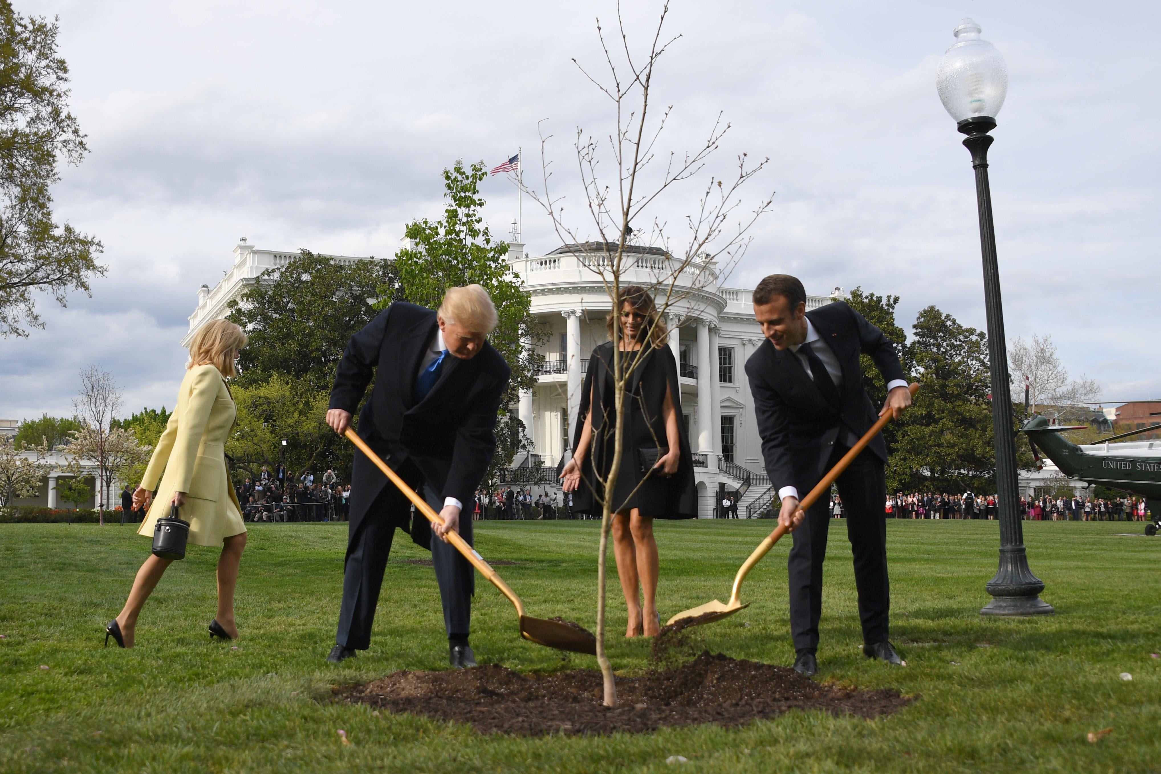 President Trump and President Macron plant a tree