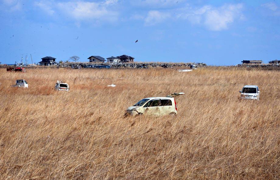 Wrecked vehicles remain in a field of reeds in Namie, two years after the March 11, 2011 tsunami and earthquake.