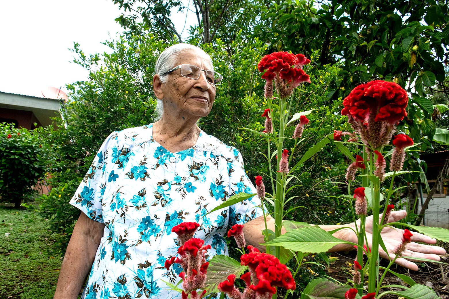 An old woman and a red flower. 