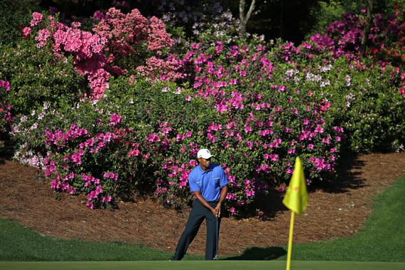 Tiger Woods chips onto a green during a practice at the 2013 Masters Tournament at Augusta National Golf Club on April 10, 2013.