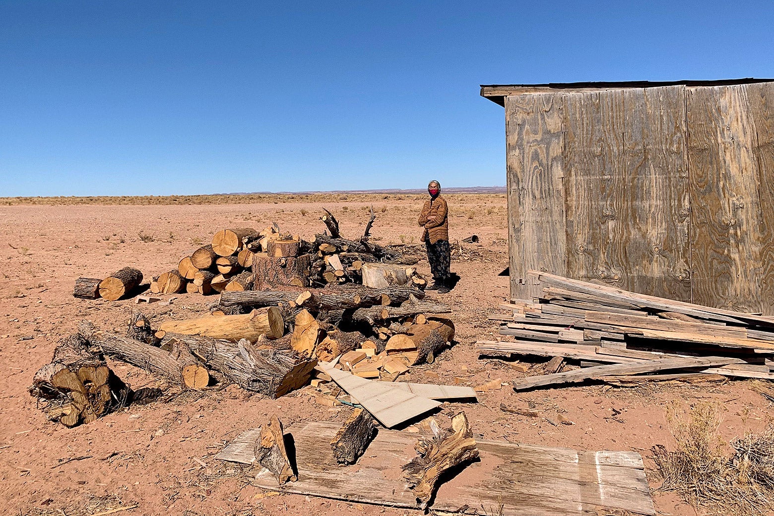 A Navajo woman standing in front of a large pile of firewood in a dry landscape