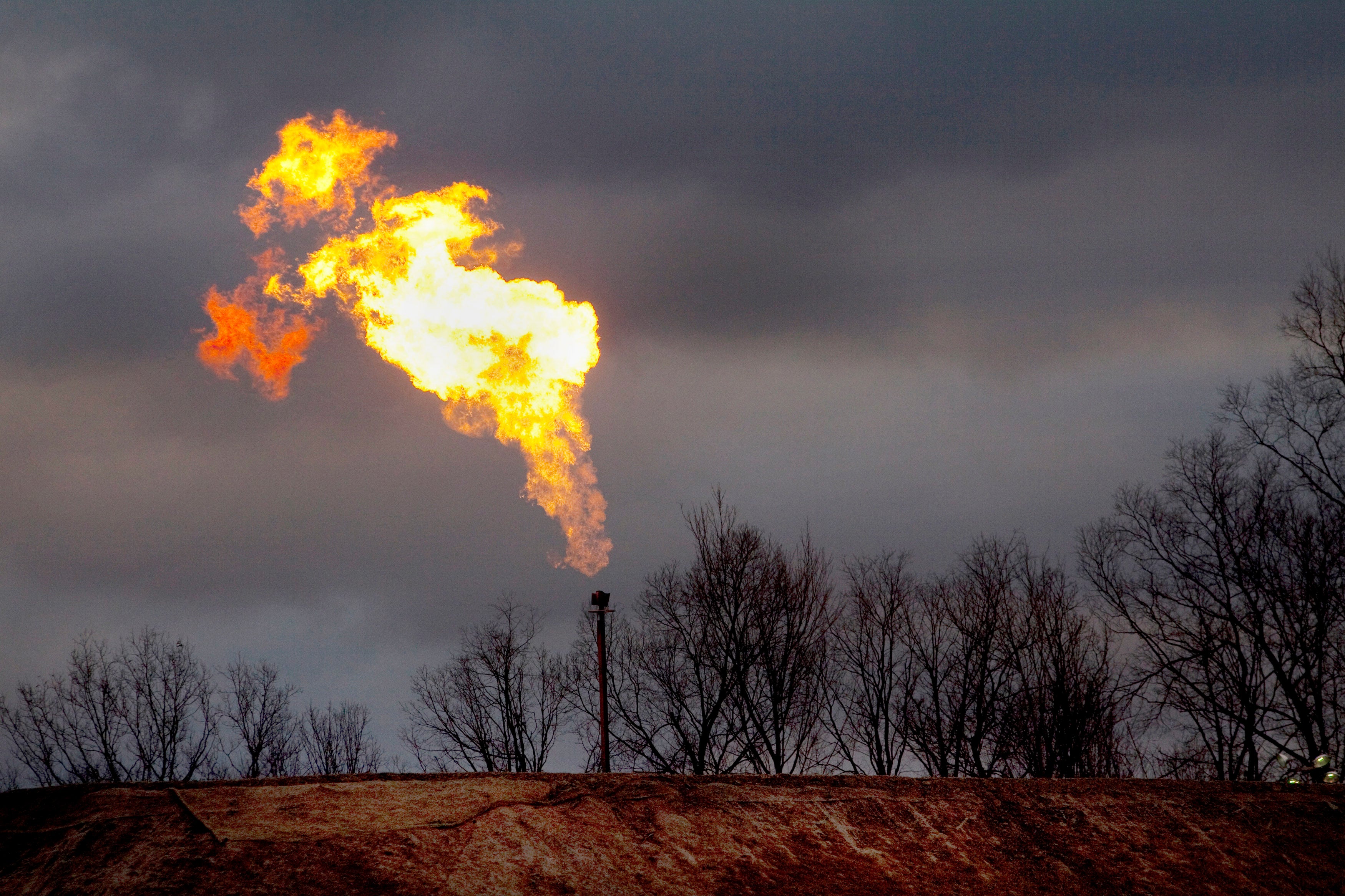 A gas flare burns up behind some bare trees.