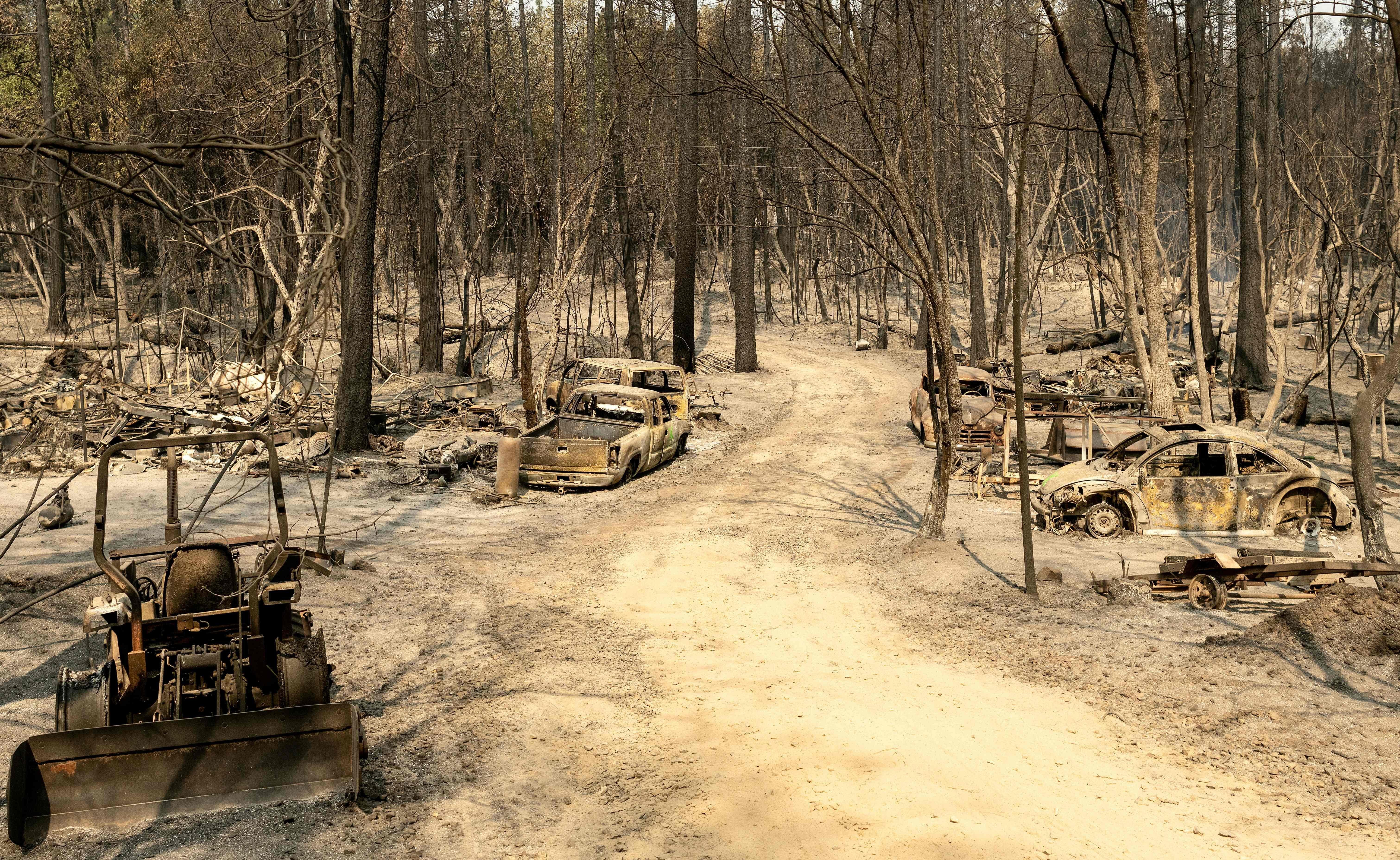 A dusty road surrounded on both sides by burnt trees and vehicles.