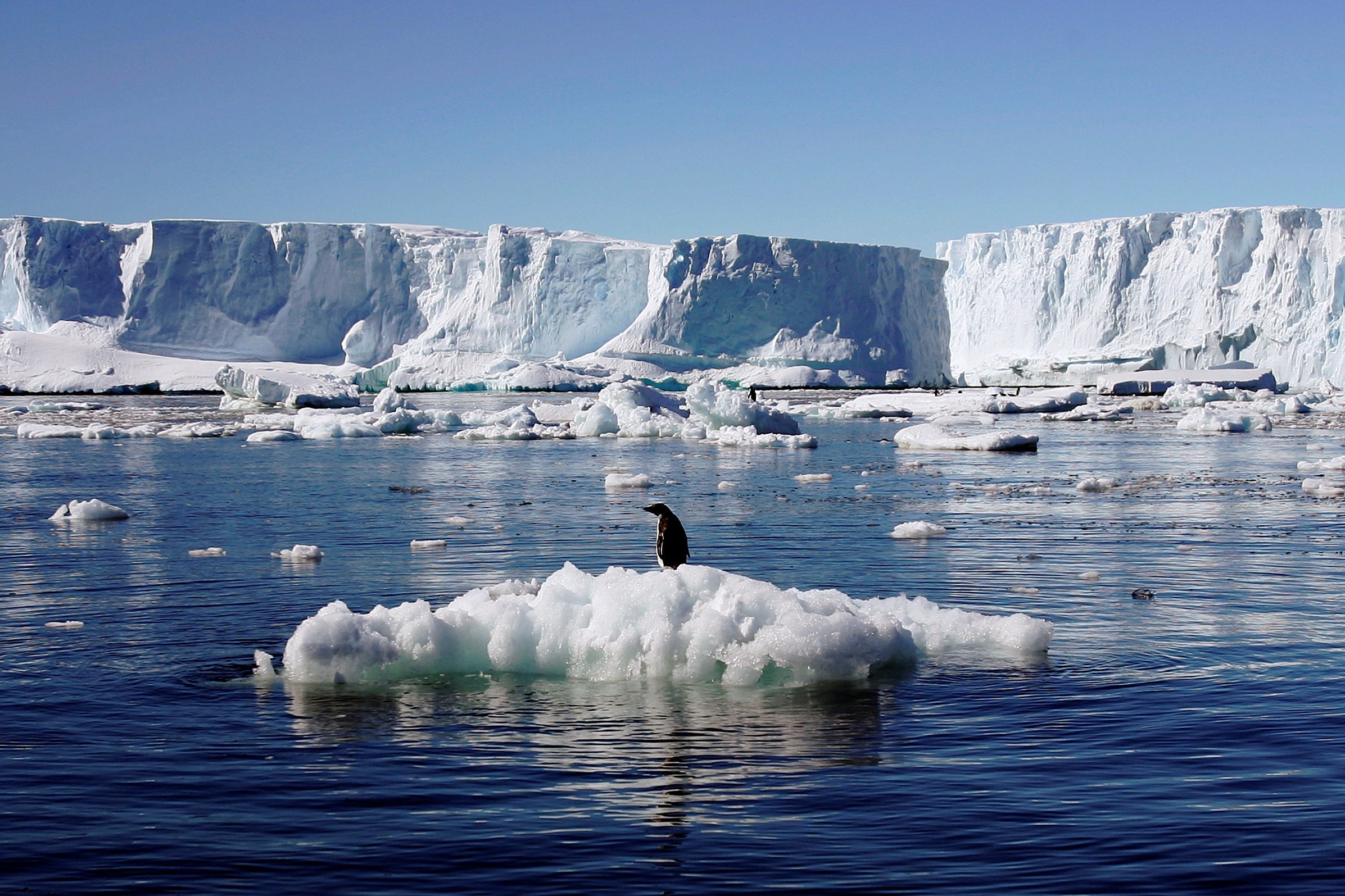 A penguin stands on a block of melting ice, surrounded by water and far-off glaciers.