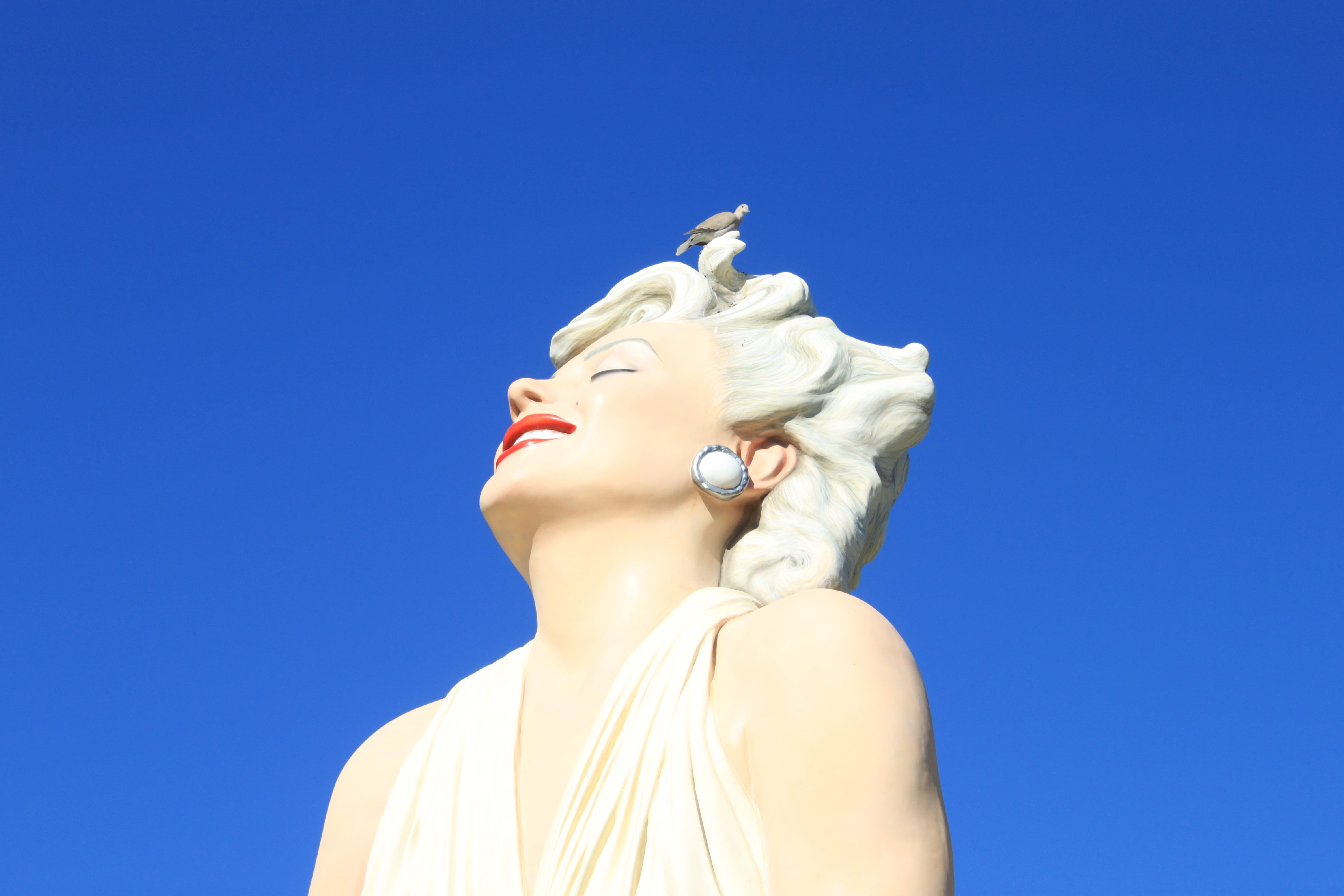 The head of the statue is photographed from below smiling against a bright blue sky and with a bird perched on top. 