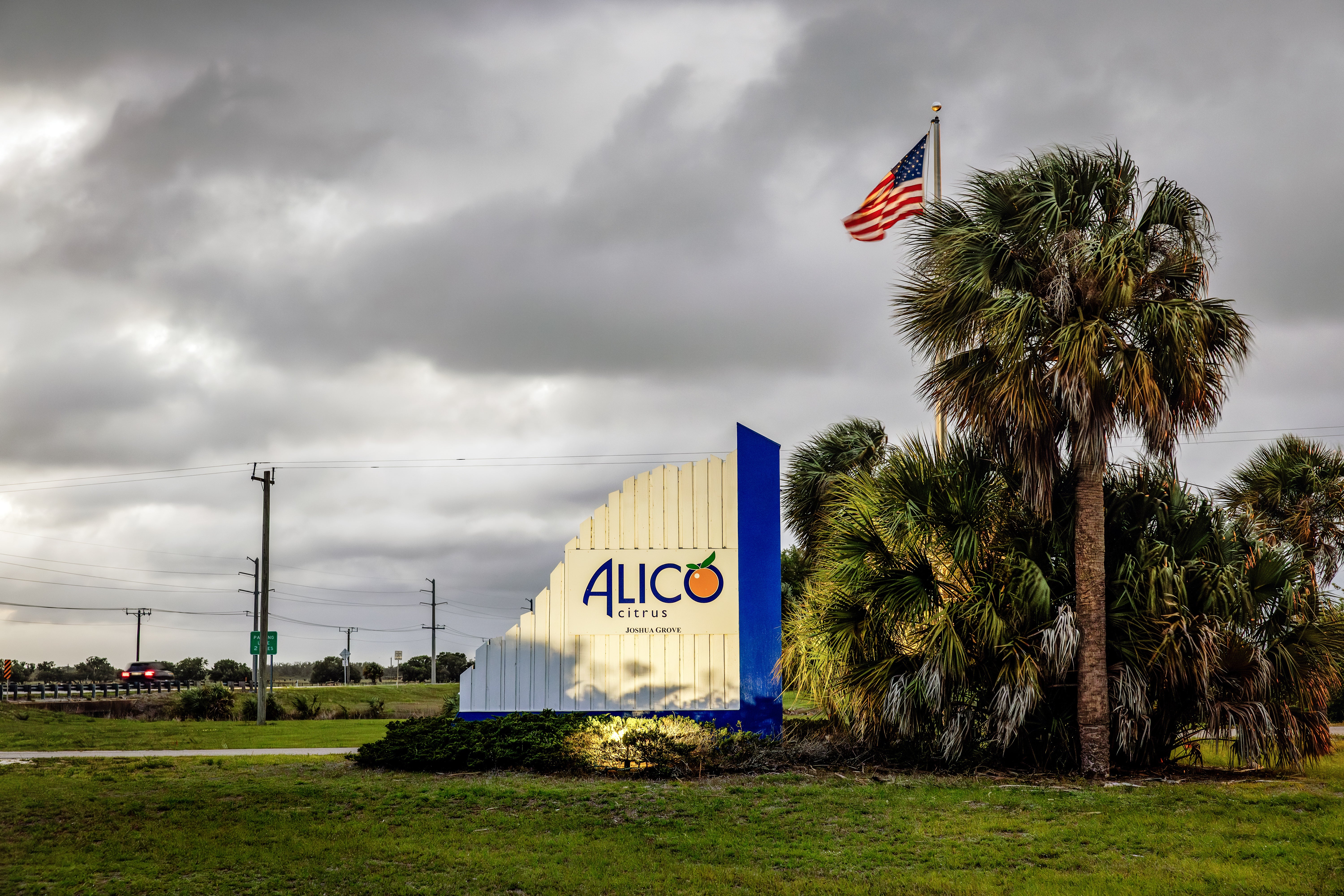 The Alico company sign.
