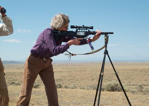 dart gun used to dart wild horses with a birth control vaccine.