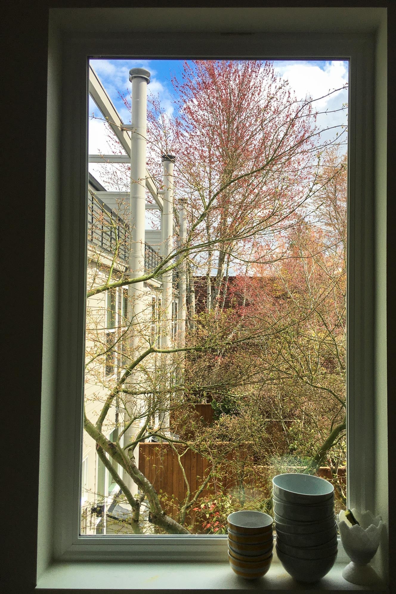 Ceramics in front of a sunny window.