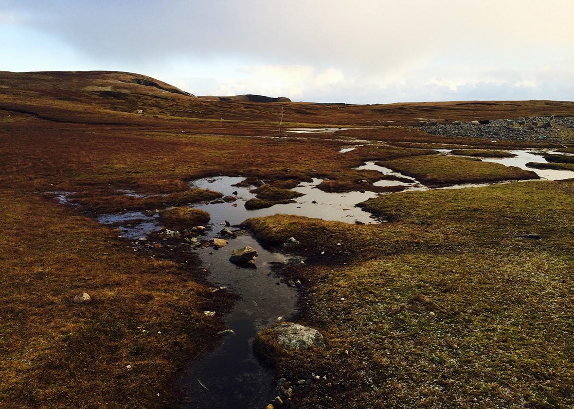 The landscape of rural Shetland. 
