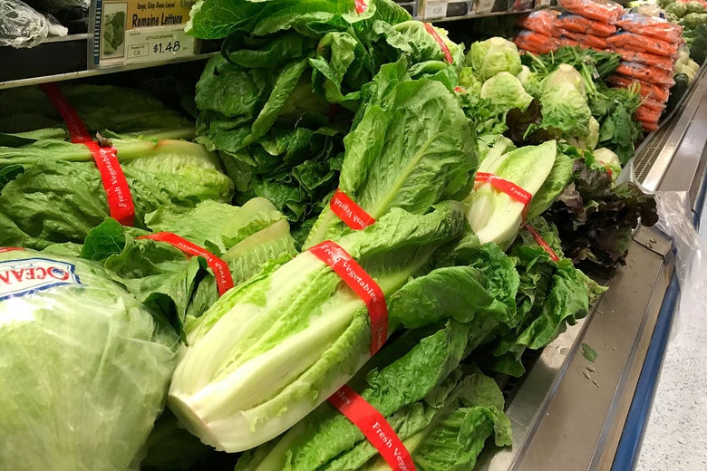 Piles of lettuce in a supermarket.