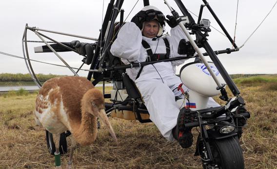 Vladimir Putin Led Migratory Birds On A Practice Flight Why Did They