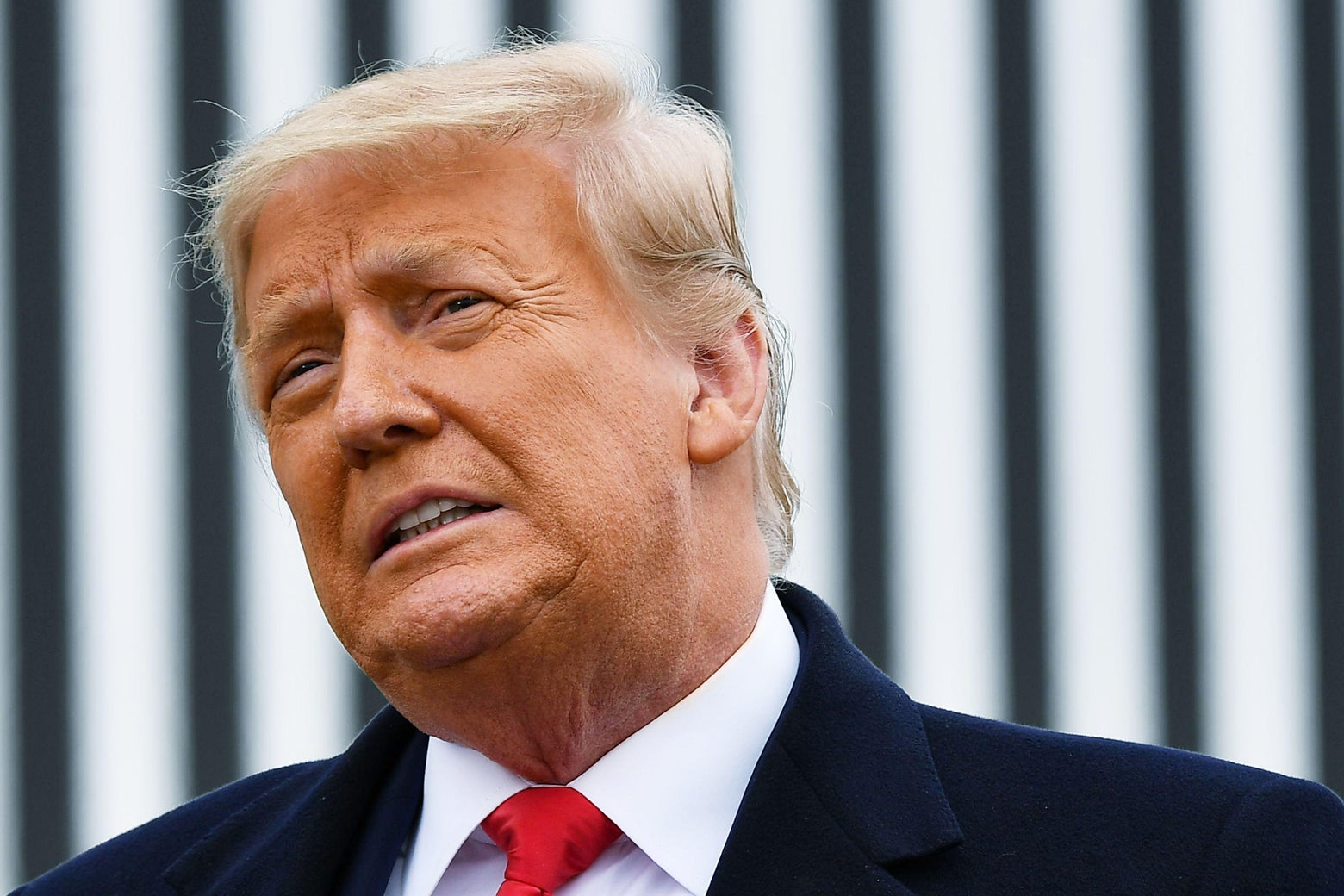 Harold Bornstein Showed What Fealty to Trump Was Worth