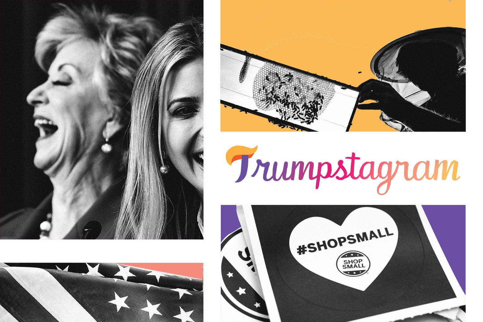 Clockwise from top left, Linda McMahon laughing, bees, Trumpstagram logo, a piece of paper that says "Shop Small," and an American flag.