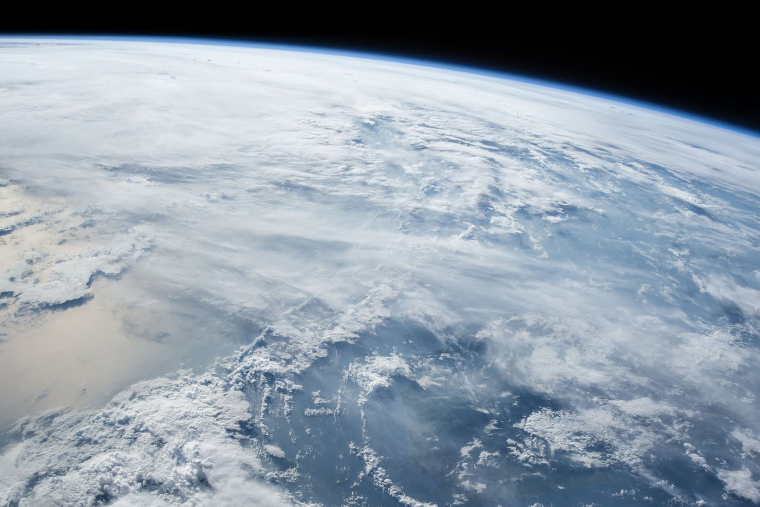 How asteroids can shape evolution How asteroids can shape evolution