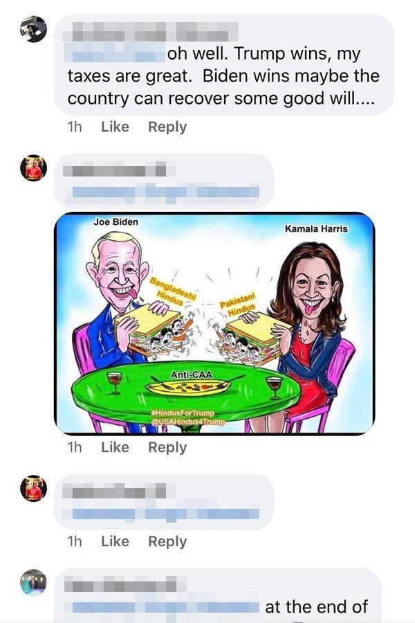 A screenshot of some Facebook comments, featuring a right-wing cartoon of Joe Biden and Kamala Harris