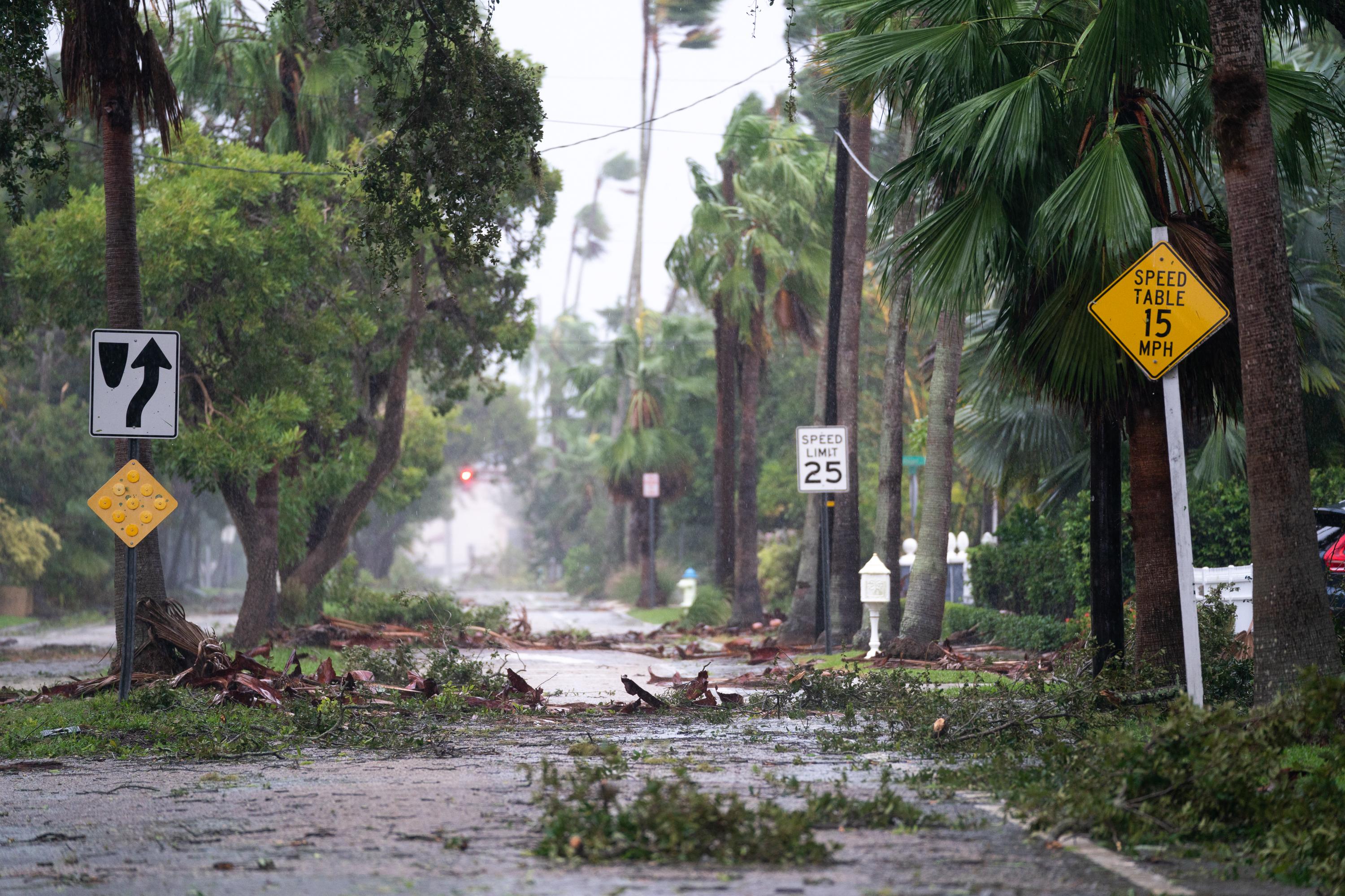 A street wet with rain with tree branches and palm fronds everywhere. 
