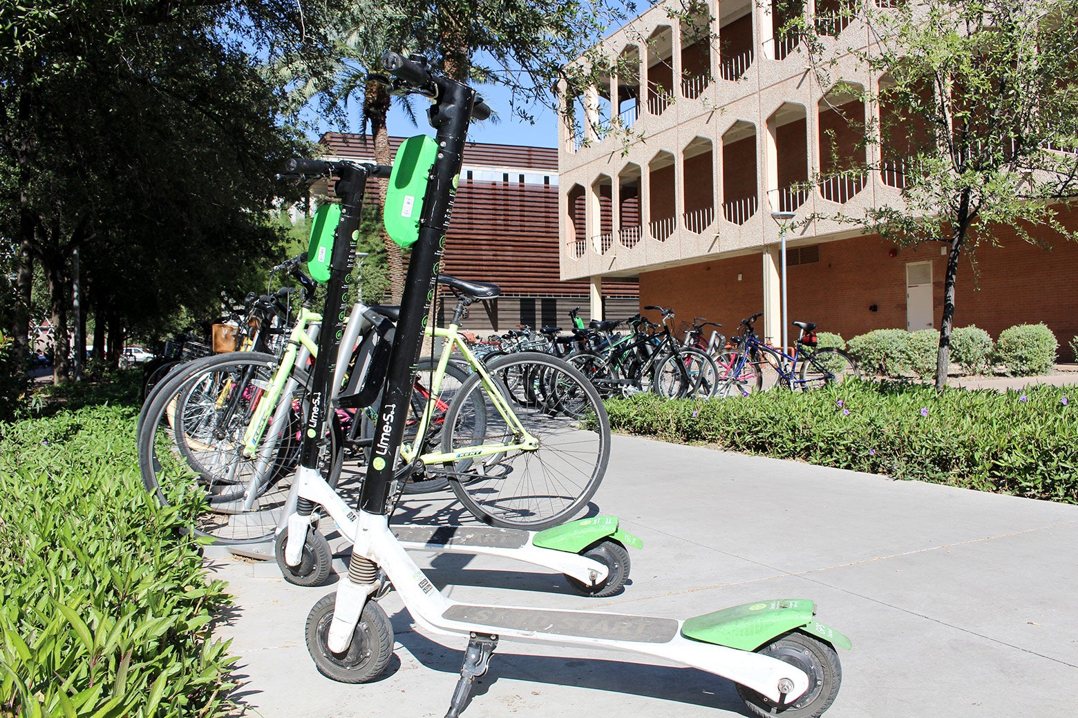 Lines of electric Lime scooters.