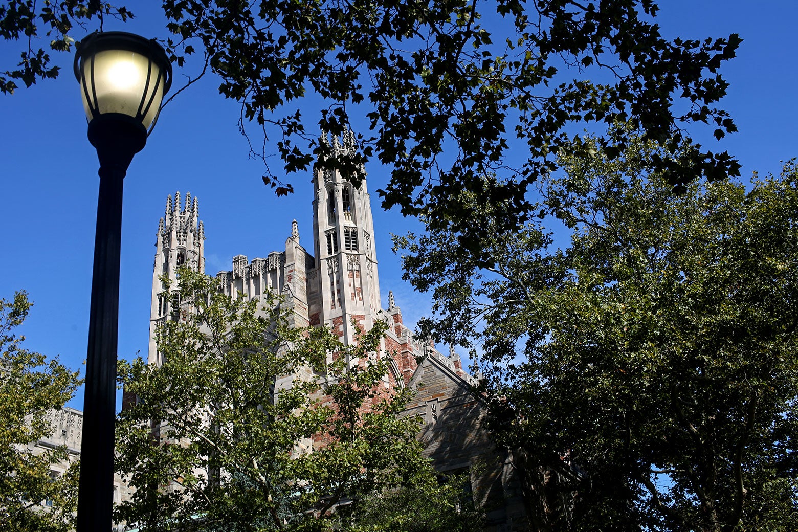 Trump's Big Beautiful Bill Was Supposed to Punish "Woke" Universities. What Happened?