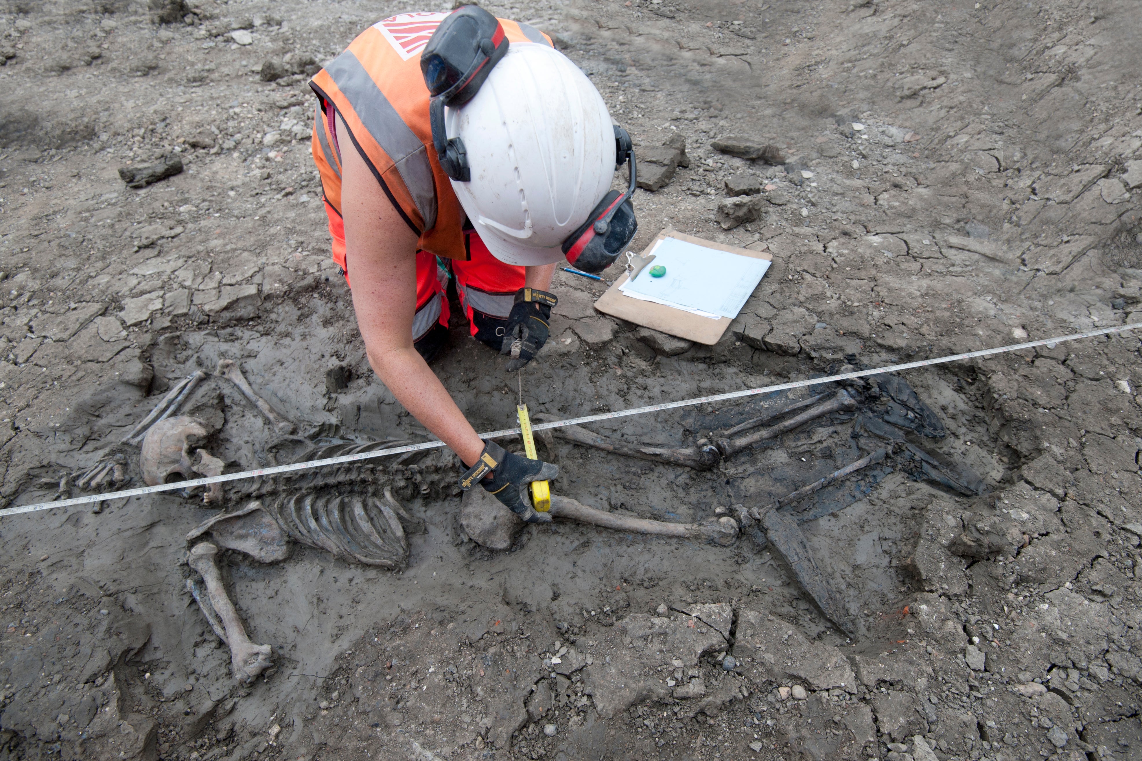 A person in an orange vest and white helmet excavating a skeleton from mud.