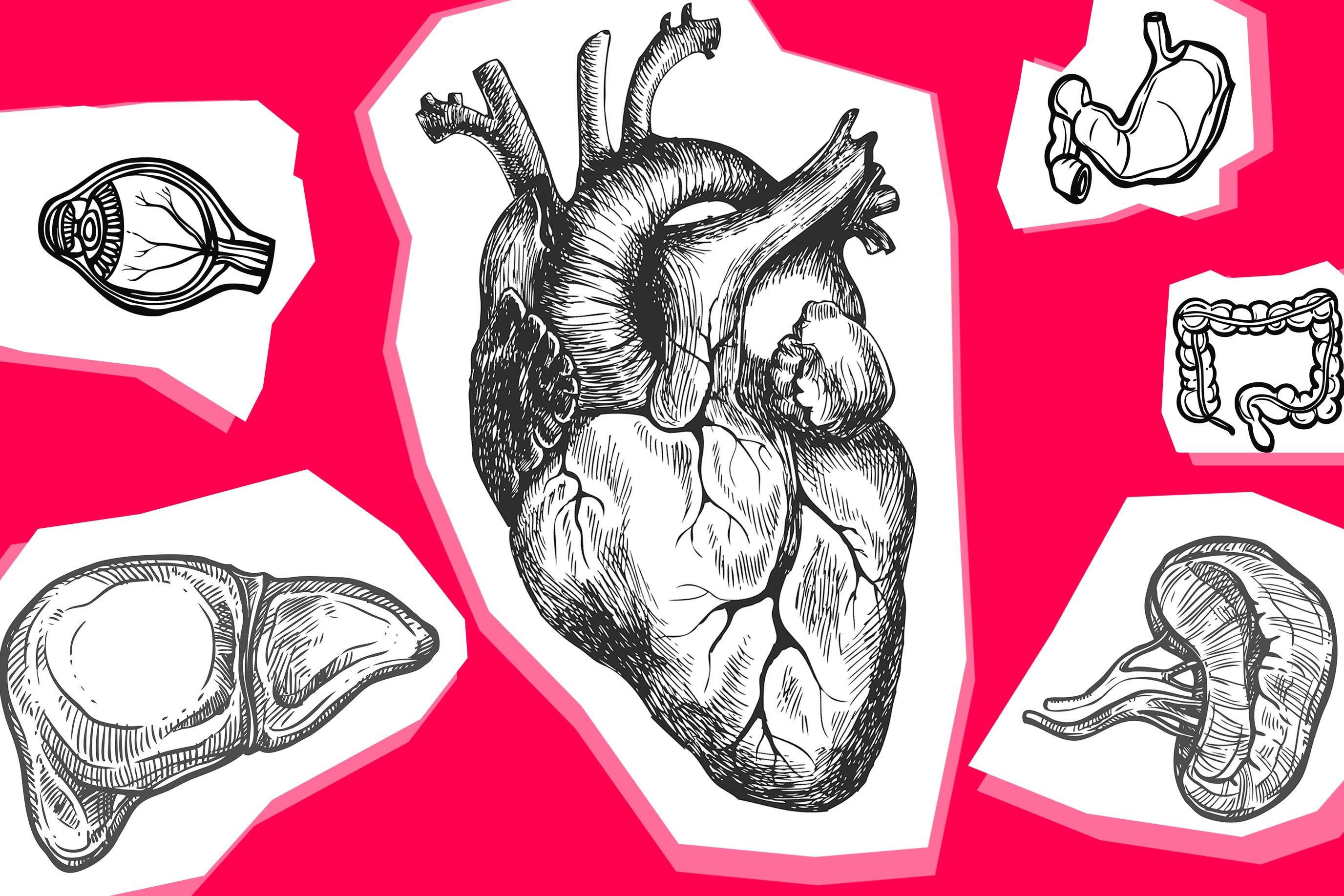 Illustrations of various organs, including a heart, eye, and stomach.