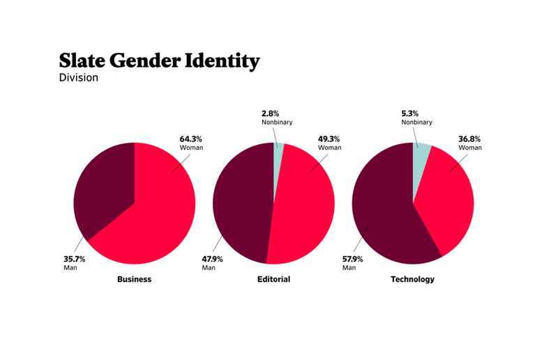 Three pie charts showing gender identity by division.