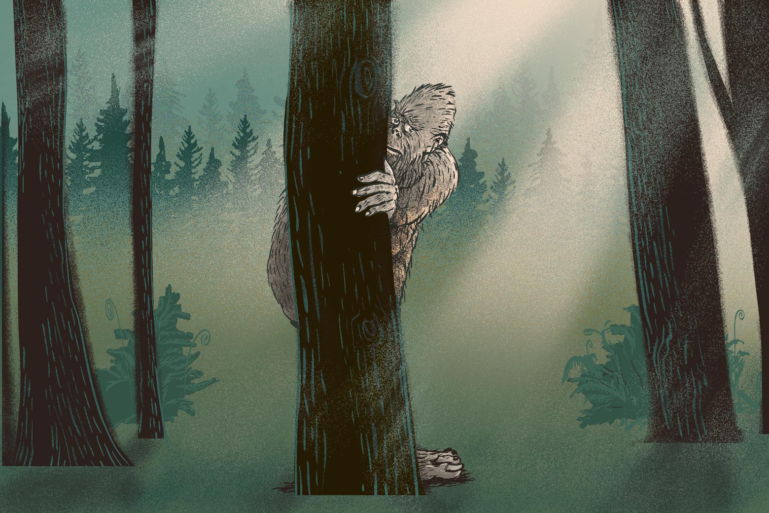 An illustration of a sad-eyed Bigfoot peeking from behind a tree in a sunlit green forest. 